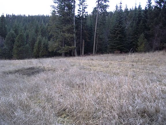 2nd image of Nka Lake Shore Pines