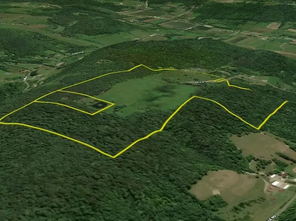 7750 Sky Ranch Rd, East Otto, NY 14729