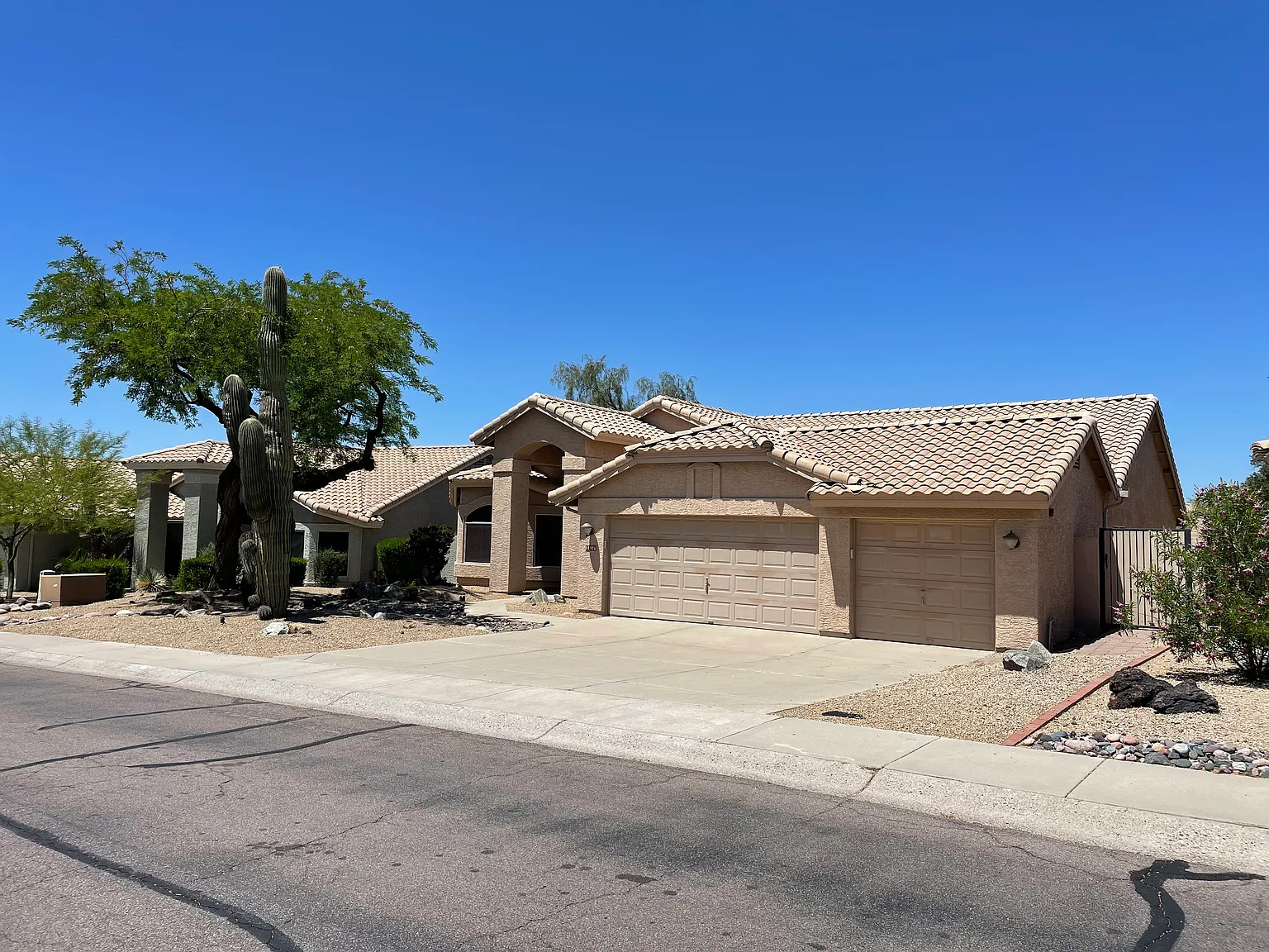 Pima And Downing Olson — Photo 4