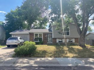 4454 S Wright St, Morrison, CO 80465