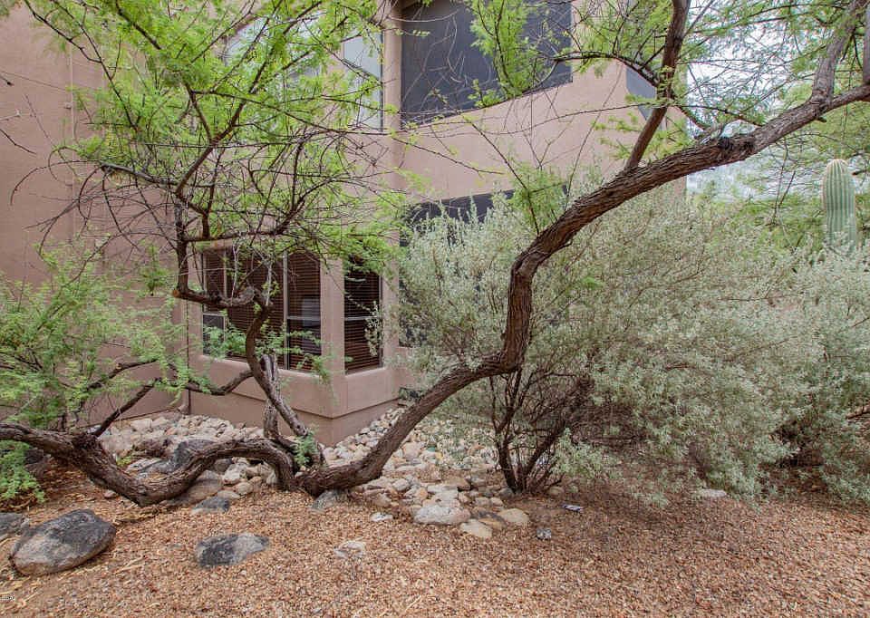 1st image of 6655 N Canyon Crest Dr