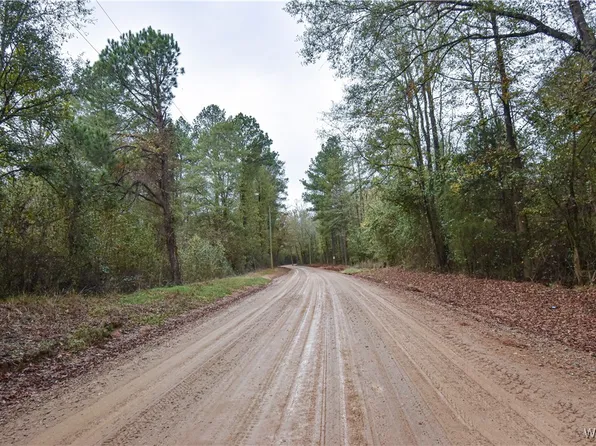 14940 S Sandy Rd, Duncanville, AL 35456