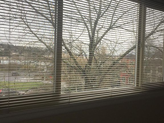 4th image of 3642 14th Ave W APT 5