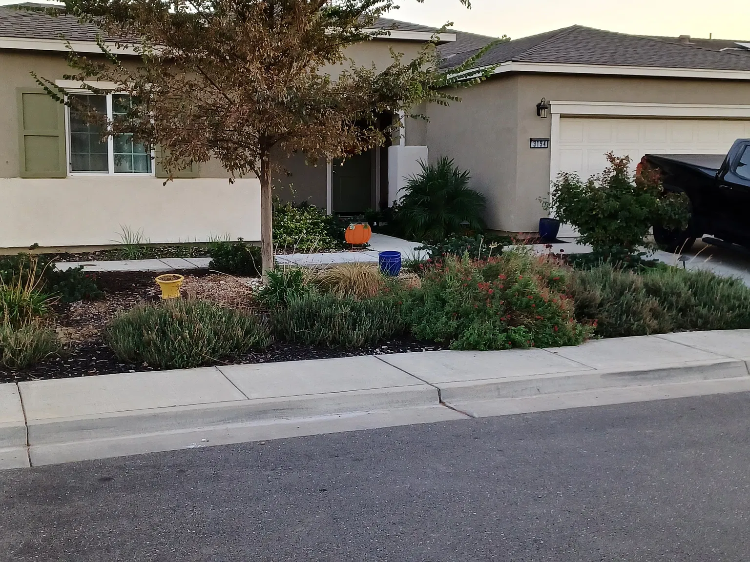 4 bed, 2300 sqft, $900 — Photo 3