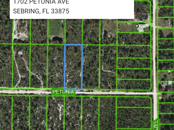 1702 Petunia Ave, Sebring, FL 33875