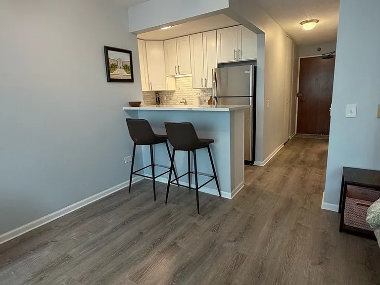 480 N McClurg Ct #618 — Photo 9