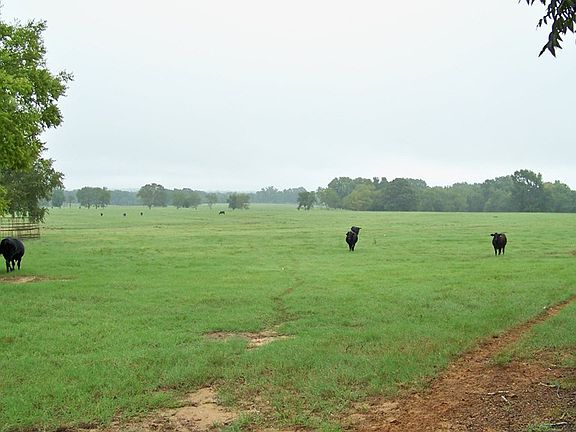 2nd image of 23115 Us Highway 79