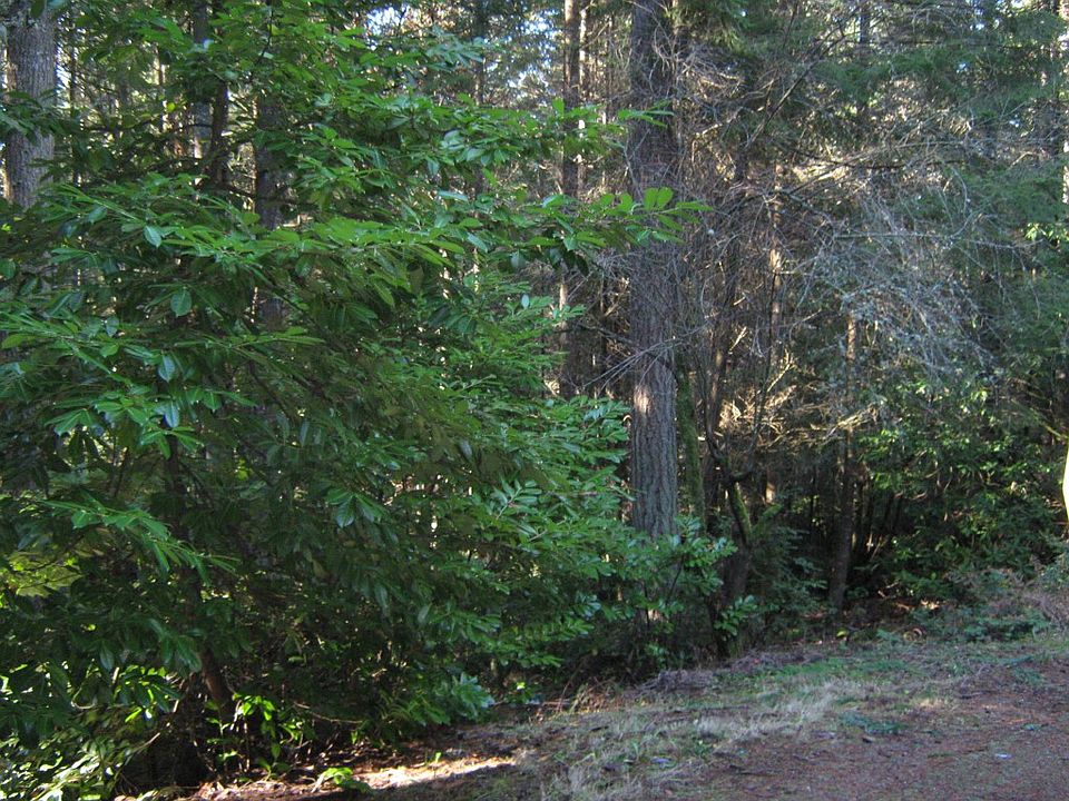 1st image of 12848 Silverdale Way NW