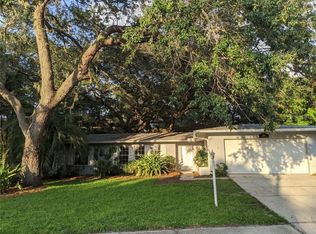 3316 San Domingo St, Clearwater, FL 33759