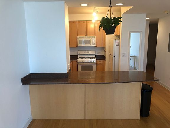 2nd image of 1250 S Michigan Ave APT 1904