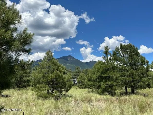 9250 N Snowbowl Ranch Rd, Flagstaff, AZ 86001