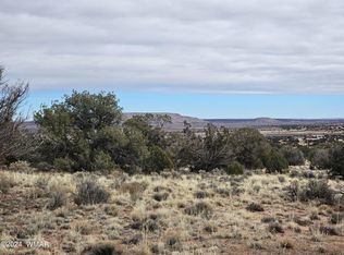 1599 County Road 5270 LOT C, Concho, AZ 85924