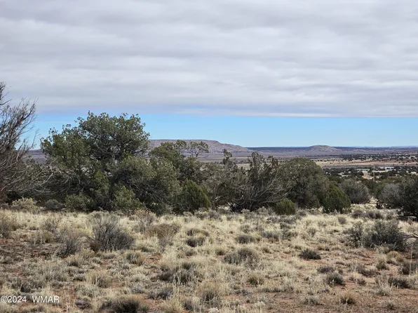 1599 County Road 5270 Lot C, Concho, AZ 85924