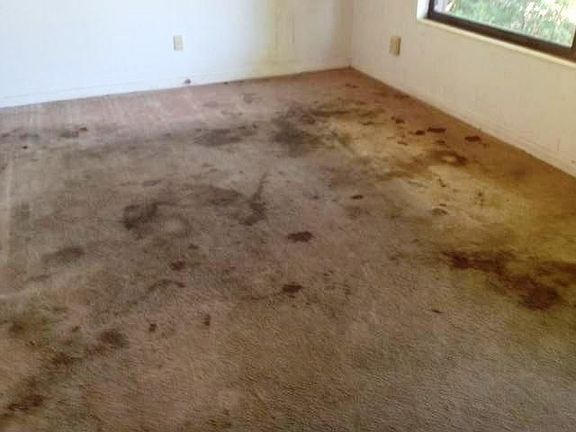 5th image of 924 Artesian Ave