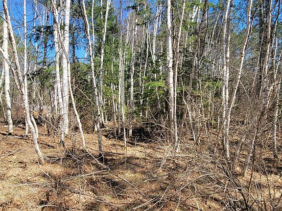 5th image of On Hunter Lake Rd