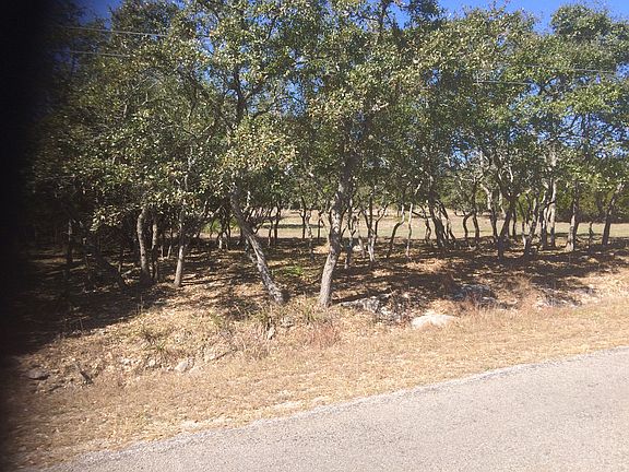 Beautiful Oak Trees!