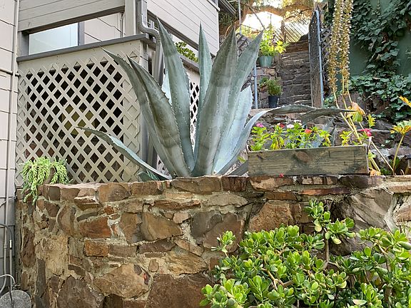 3rd image of 626 N Topanga Canyon Blvd