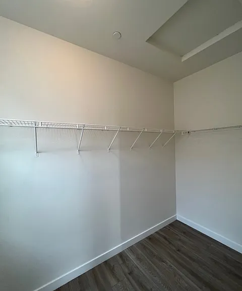 6120 Snapdragon St — Photo 20