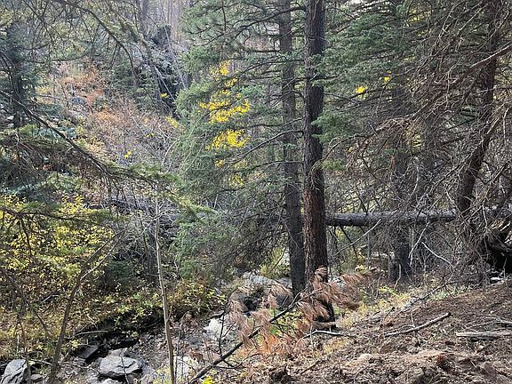 3rd image of 11 Monument Gulch Way