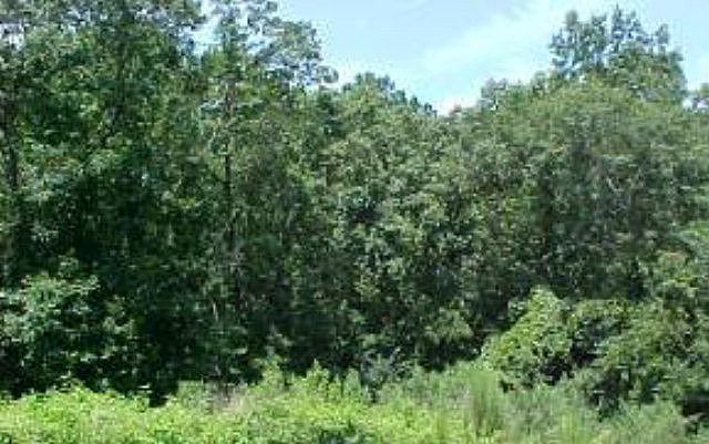 1st image of 0 River Bend Drive