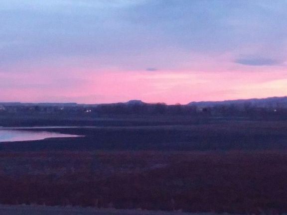 view from private patio