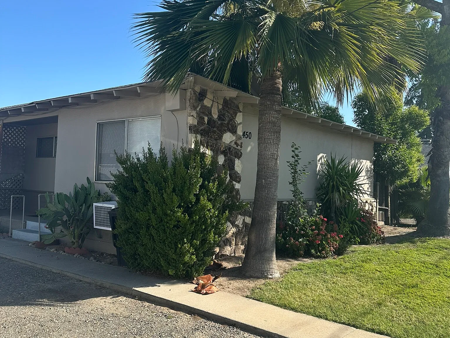 1 bed, $900 — Photo 1
