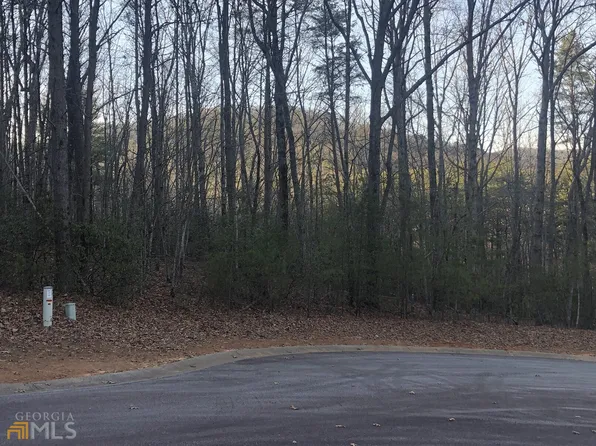 1433 Northern Spy Dr, Clarkesville, GA 30523