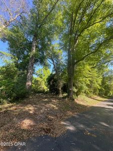0 Marcus Dr, Greenwood, FL, 32443