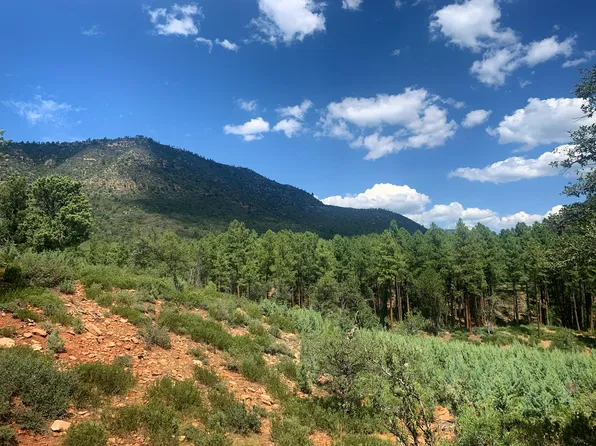 49 Ruin Hill Loop, Pine, AZ 85544