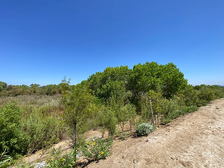 315 Liberty Way — Photo 44
