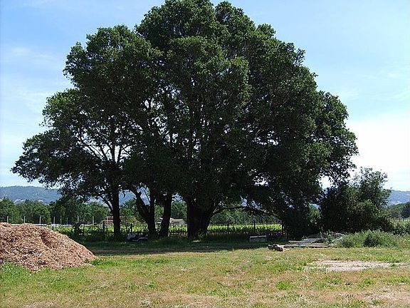 2nd image of 760 Road N