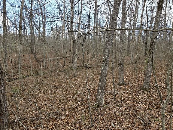 3rd image of 13 Pond Rd