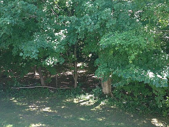 5th image of 2701 Morgan Dr