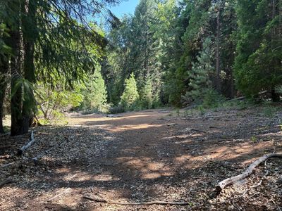 Castle Lake Rd, Mount Shasta, CA, 96067