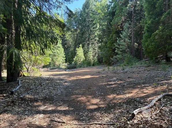 Castle Lake Rd, Mount Shasta, CA 96067