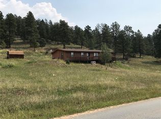 72 Juniper Ln, Bailey, CO 80421
