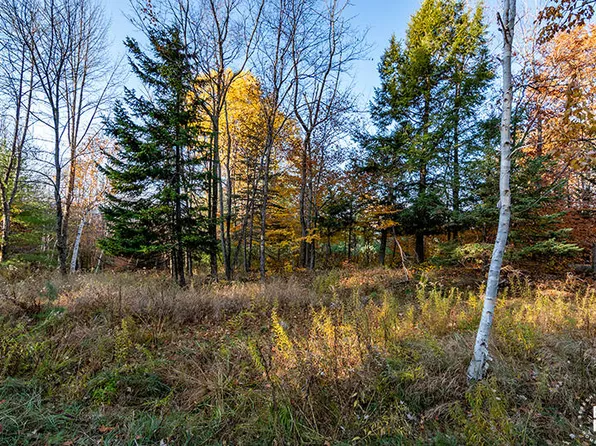 0 Mount Pisgah Ln, Saranac Lake, NY 12983