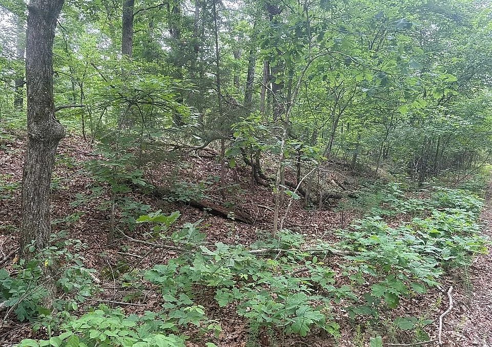 1st image of Gainford Dr #12
