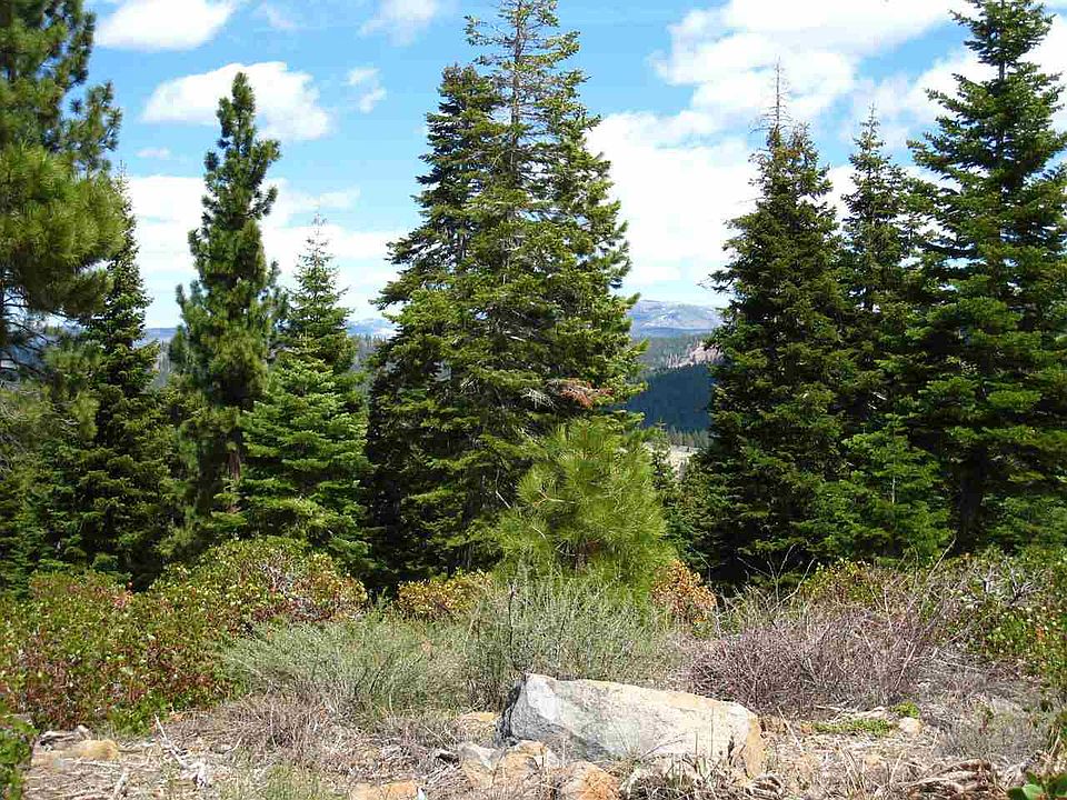 2nd image of 1717 Grouse Ridge Rd