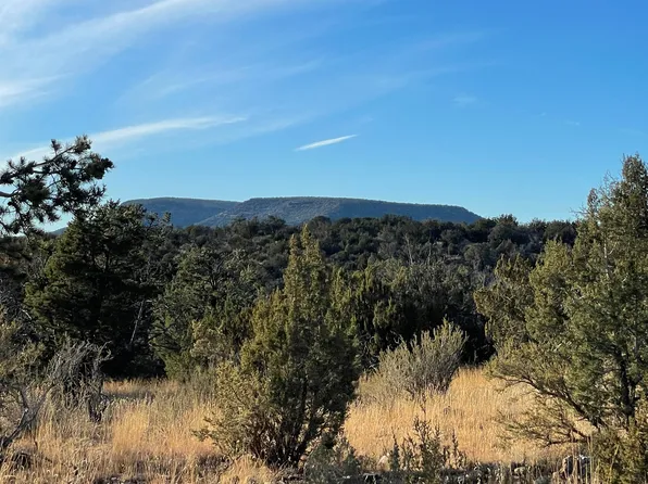 52374 N Via De Oro Pkwy, Seligman, AZ 86337