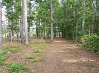 457 Black Creek Church Rd LOT C, Pembroke, GA 31321
