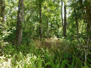 854 Worth Rd, Saint Johns, FL 32259