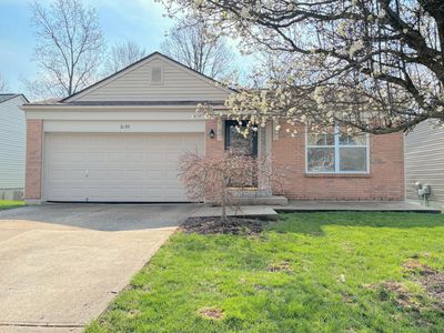 3199 Summitrun Dr, Independence, KY, 41051