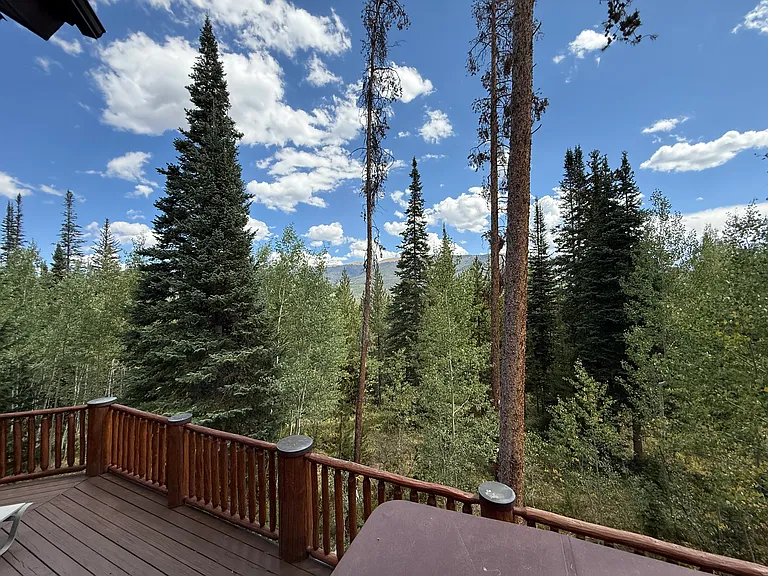 520 Two Cabins Dr — Photo 13