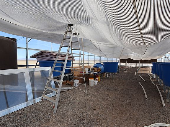 5th image of 13525 S Pima Ave