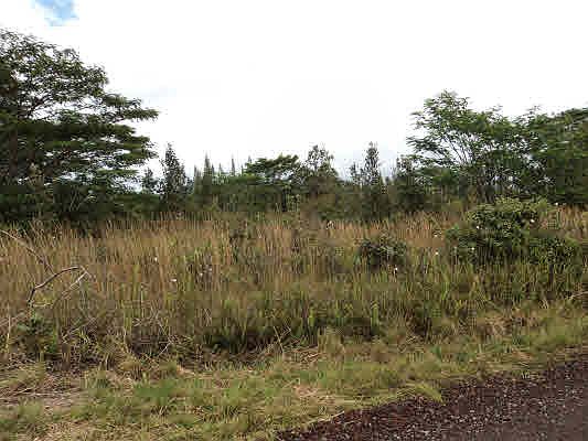 1st image of 3rd Ave Lot 2685