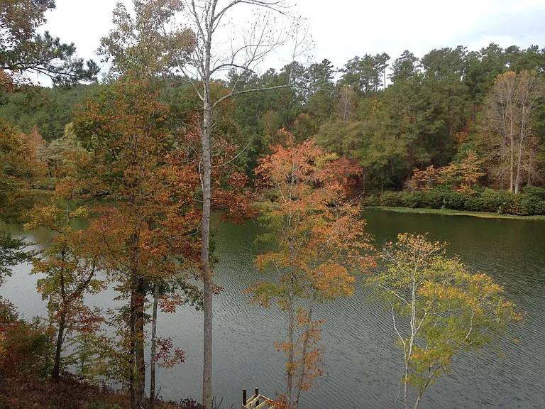 view from back deck