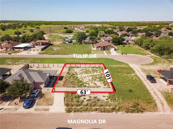 LOT 81 Magnolia Dr, Rio Grande City, TX 78582