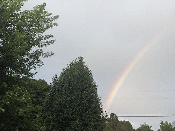 View from second level of ho