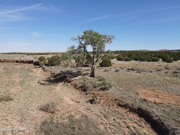 Falcon Dr, Taylor, AZ 85939